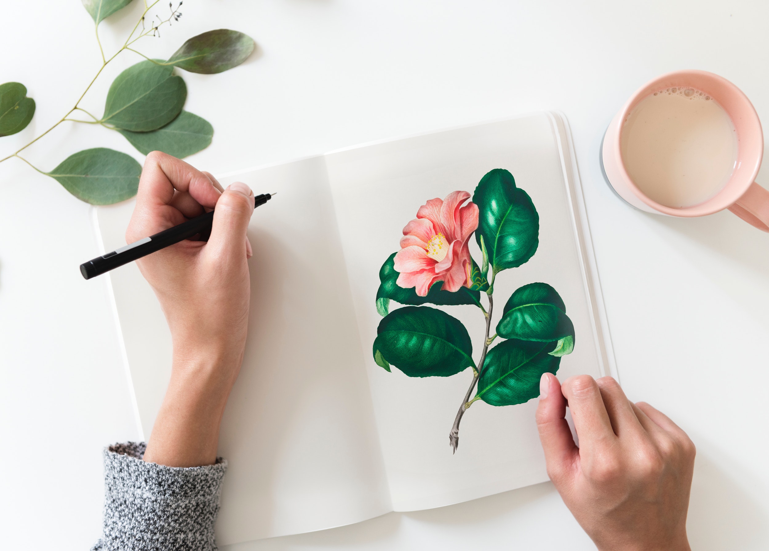 A photo of a girl writing in a notebook featuring a vivid flower with a mug of tea