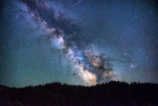 a starry night sky set against the mountainous forest