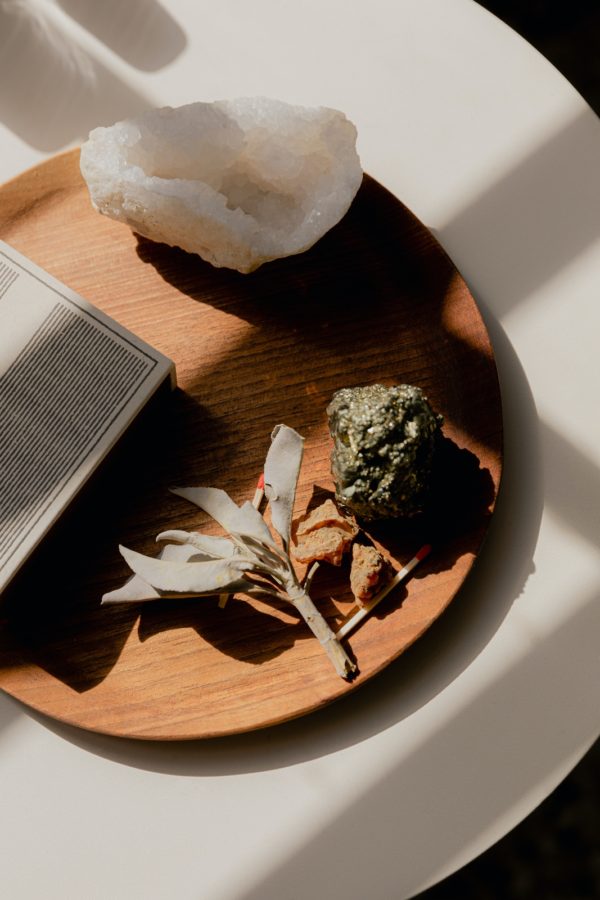 quartz geode, plant, pyrite, wooden tray