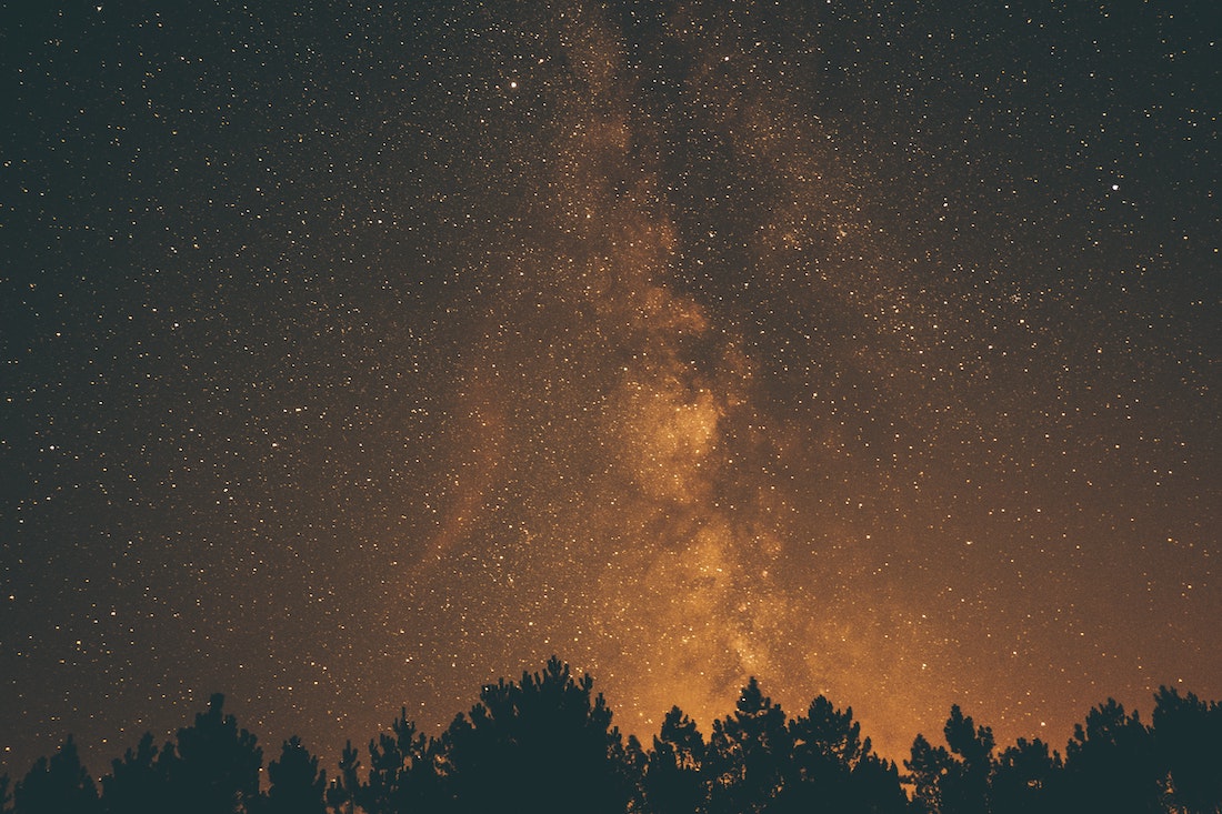 the forest at night with the golden cosmos above